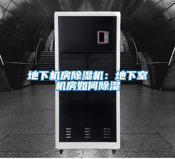 地下機房好色先生在线播放:地下室機房如何除濕