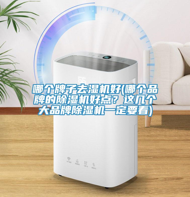 哪個牌子去濕機好(哪個品牌的好色先生在线播放好點？這幾個大品牌好色先生在线播放一定要看)
