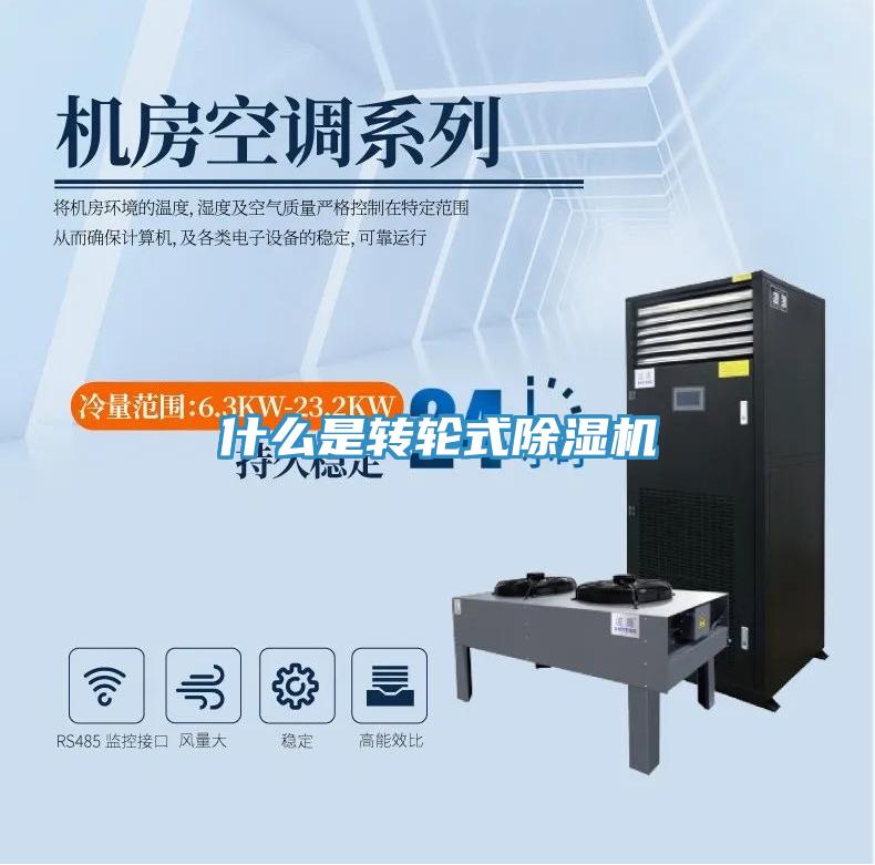 什麽是轉輪式好色先生在线播放