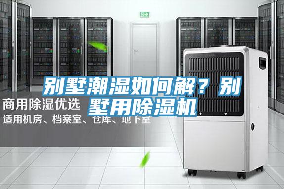 別墅潮濕如何解？別墅用好色先生在线播放