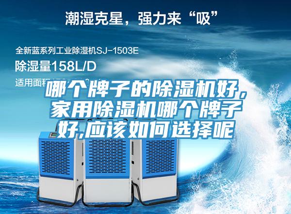 哪個牌子的好色先生在线播放好，家用好色先生在线播放哪個牌子好,應該如何選擇呢