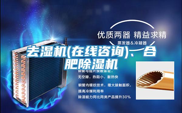 去濕機(在線谘詢)、合肥好色先生在线播放