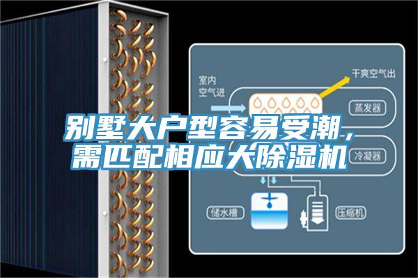 別墅大戶型容易受潮，需匹配相應大好色先生在线播放