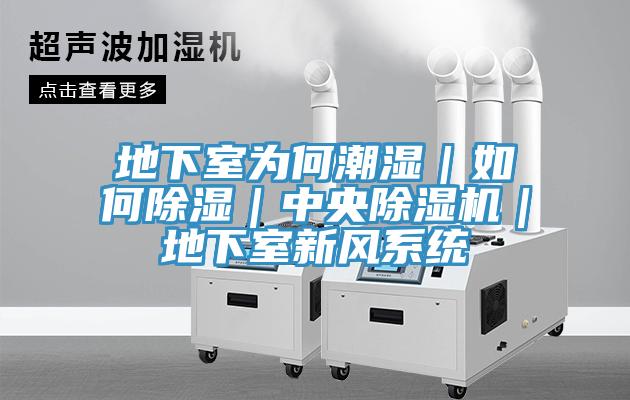 地下室為何潮濕｜如何除濕｜中央好色先生在线播放｜地下室新風係統