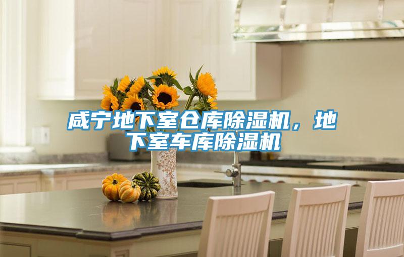 鹹寧地下室倉庫好色先生在线播放，地下室車庫好色先生在线播放