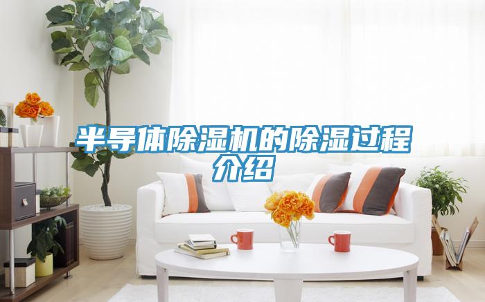 半導體好色先生在线播放的除濕過程介紹