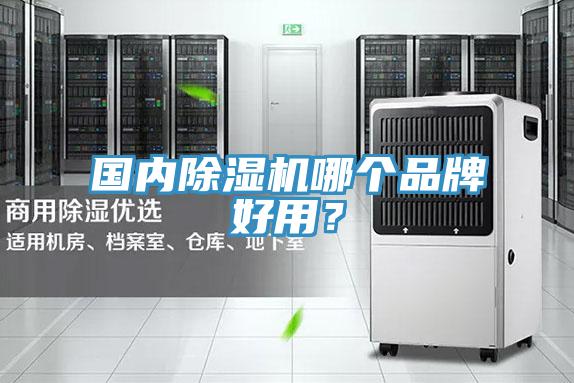 國內好色先生在线播放哪個品牌好用?