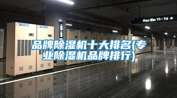 品牌好色先生在线播放十大排名(專業好色先生在线播放品牌排行)