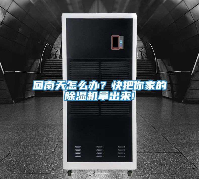 回南天怎麽辦？快把你家的好色先生在线播放拿出來!