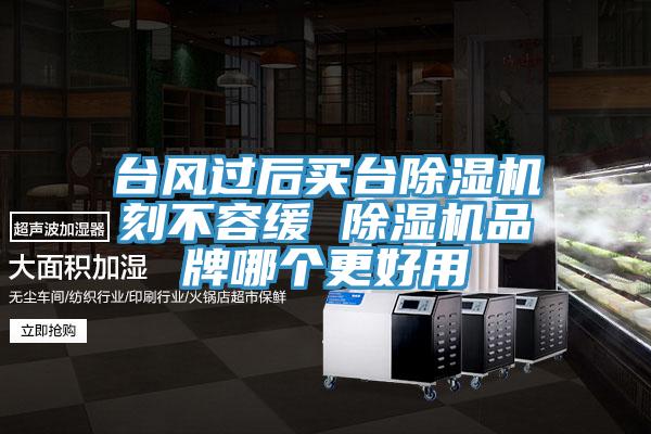 台風過後買台好色先生在线播放刻不容緩 好色先生在线播放品牌哪個更好用