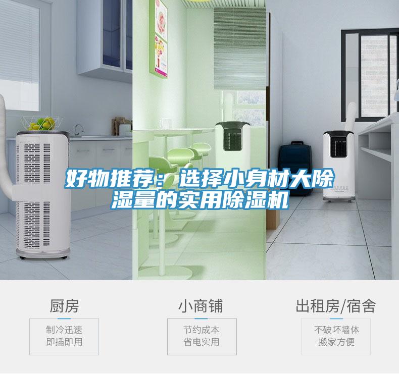 好物推薦:選擇小身材大除濕量的實用好色先生在线播放