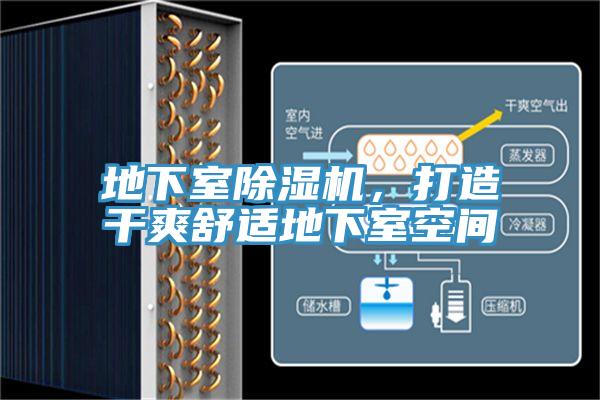 地下室好色先生在线播放,打造幹爽舒適地下室空間