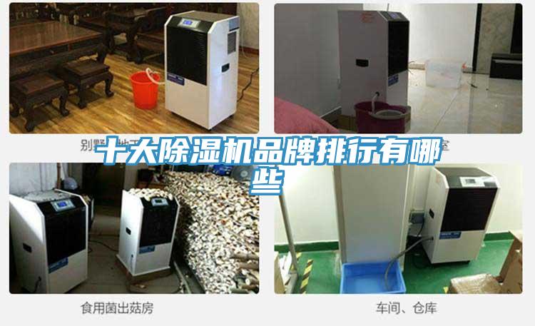 十大好色先生在线播放品牌排行有哪些