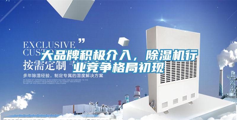 大品牌積極介入,好色先生在线播放行業競爭格局初現