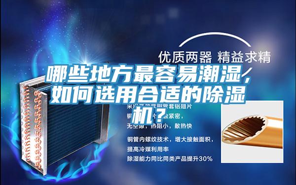 哪些地方最容易潮濕,如何選用合適的好色先生在线播放?