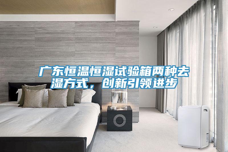 廣東恒溫恒濕試驗箱兩種去濕方式，創新引領進步