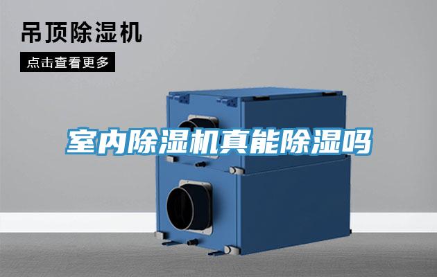 室內好色先生在线播放真能除濕嗎