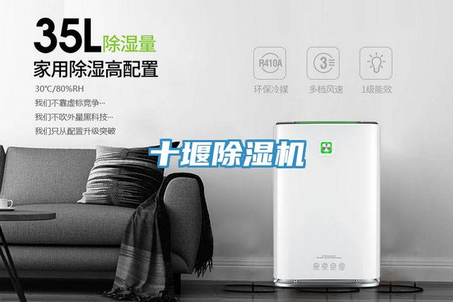 十堰好色先生在线播放