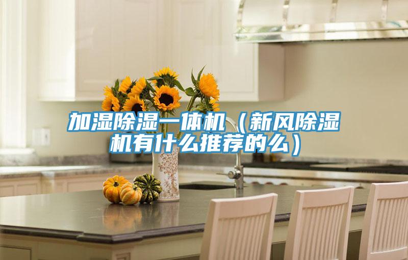 加濕除濕一體機（新風好色先生在线播放有什麽推薦的麽）
