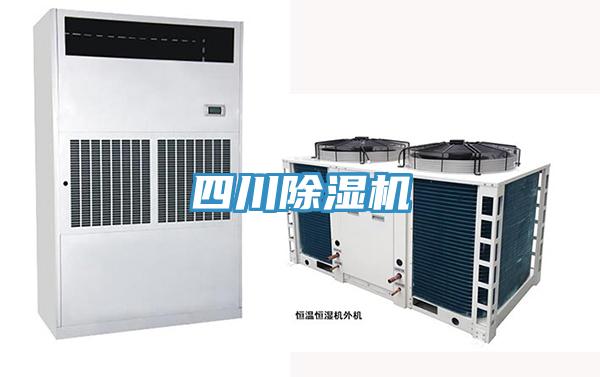 四川好色先生在线播放