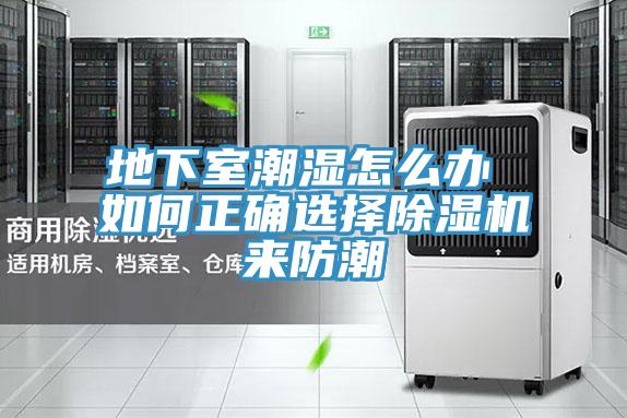 地下室潮濕怎麽辦 如何正確選擇好色先生在线播放來防潮