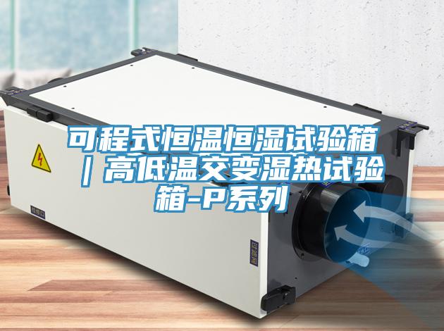 可程式恒溫恒濕試驗箱｜高低溫交變濕熱試驗箱-P係列