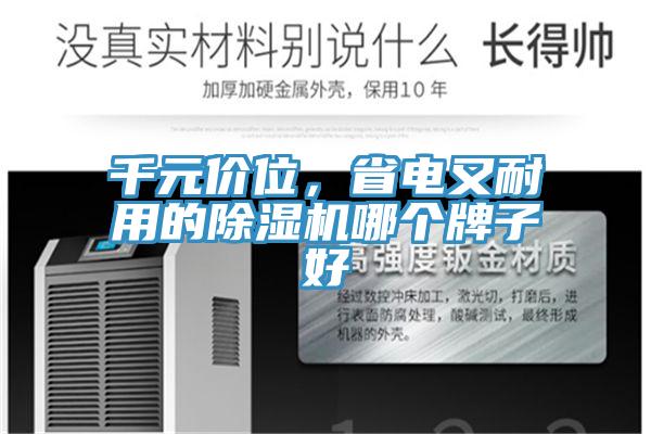 千元價位，省電又耐用的好色先生在线播放哪個牌子好