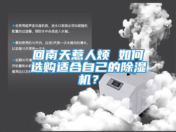 回南天惹人煩 如何選購適合自己的好色先生在线播放？