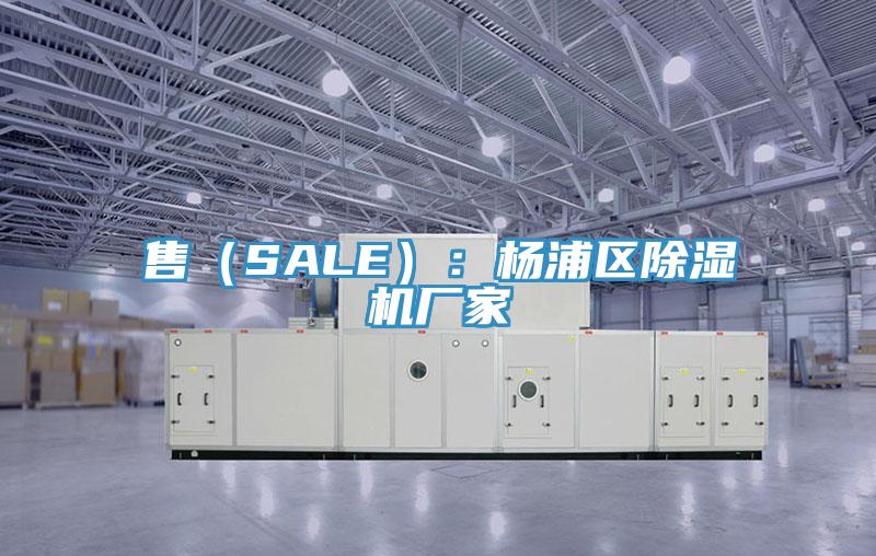 售(SALE):楊浦區好色先生在线播放廠家