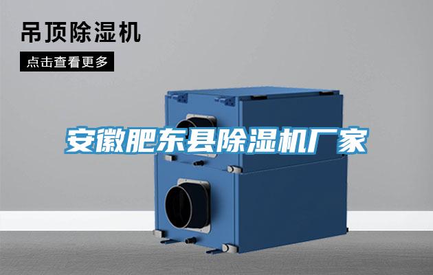 安徽肥東縣好色先生在线播放廠家