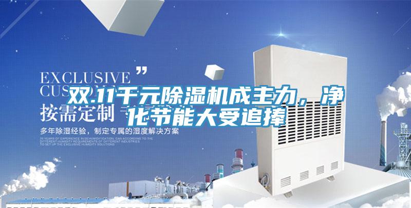 雙.11千元好色先生在线播放成主力，淨化節能大受追捧