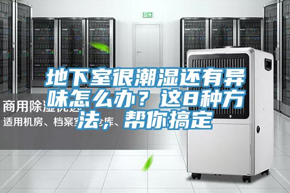 地下室很潮濕還有異味怎麽辦？這8種方法，幫你搞定