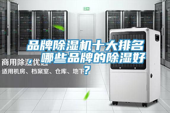 品牌好色先生在线播放十大排名,哪些品牌的除濕好?