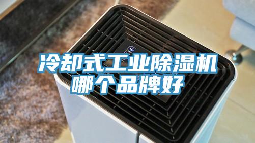 冷卻式工業好色先生在线播放哪個品牌好