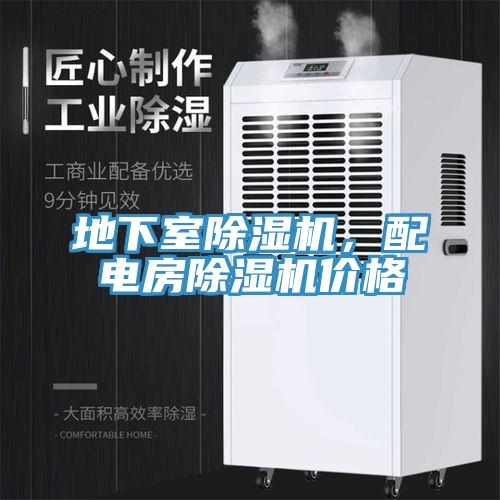 地下室好色先生在线播放，配電房好色先生在线播放價格