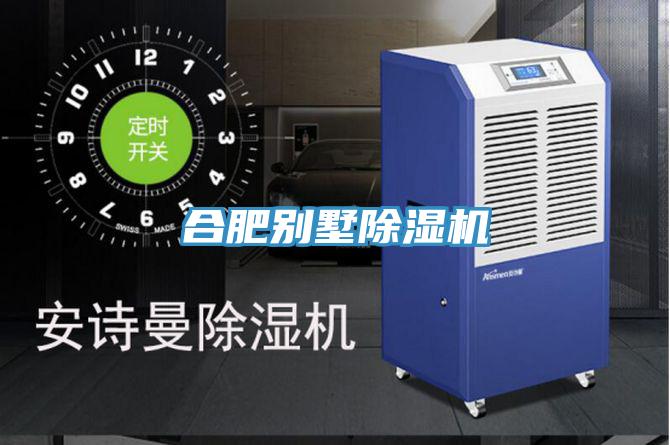 合肥別墅好色先生在线播放