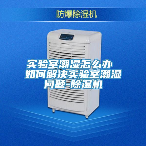 實驗室潮濕怎麽辦 如何解決實驗室潮濕問題-好色先生在线播放