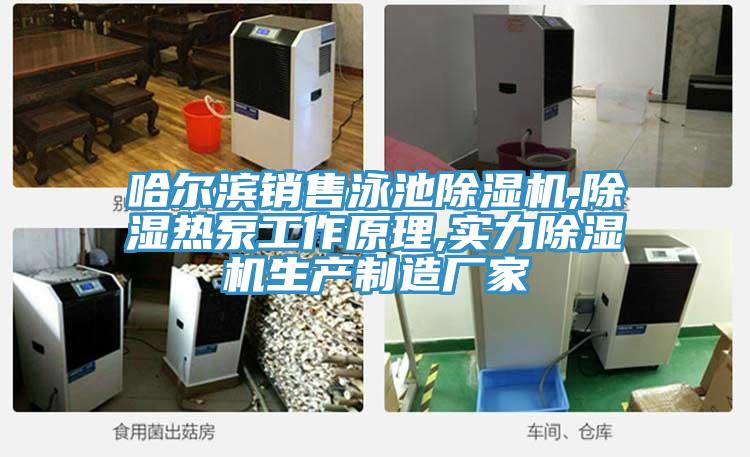 哈爾濱銷售泳池好色先生在线播放,除濕熱泵工作原理,實力好色先生在线播放生產製造廠家