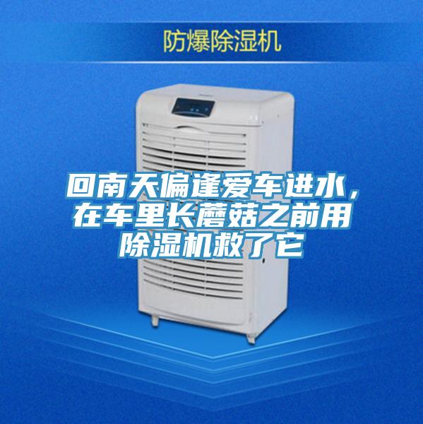 回南天偏逢愛車進水，在車裏長蘑菇之前用好色先生在线播放救了它