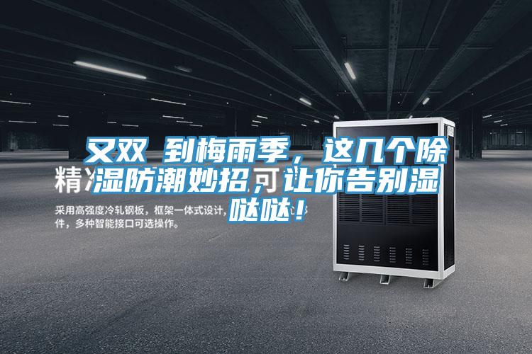 又雙叒到梅雨季，這幾個除濕防潮妙招，讓你告別濕噠噠！