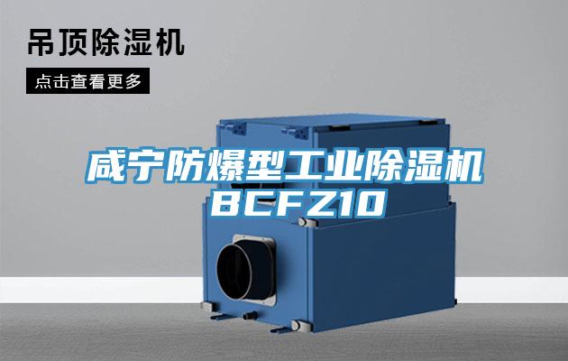 鹹寧防爆型工業好色先生在线播放 BCFZ10
