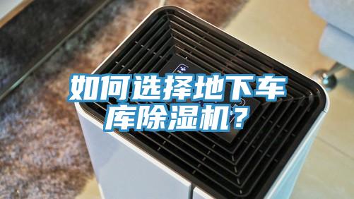 如何選擇地下車庫好色先生在线播放?