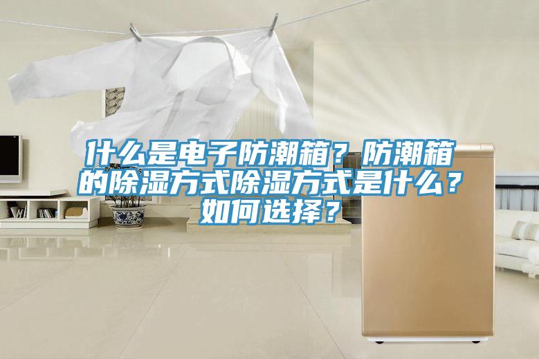 什麽是電子防潮箱？防潮箱的除濕方式除濕方式是什麽？如何選擇？