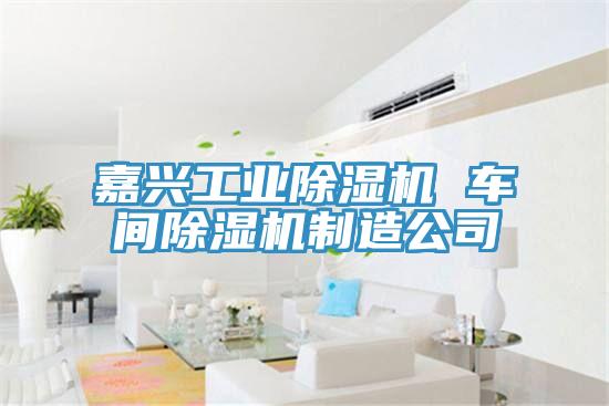 嘉興工業好色先生在线播放 車間好色先生在线播放製造公司