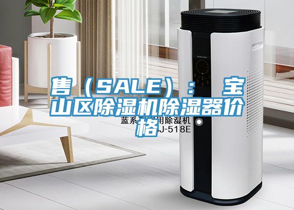 售(SALE): 寶山區好色先生在线播放除濕器價格