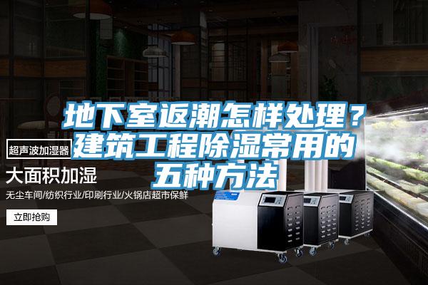 地下室返潮怎樣處理？建築工程除濕常用的五種方法