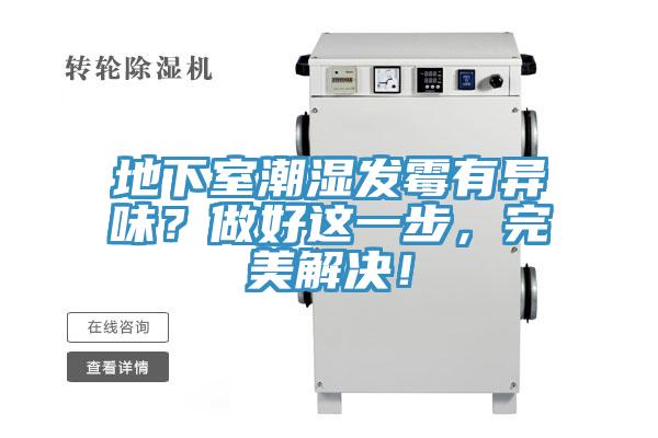 地下室潮濕發黴有異味？做好這一步，完美解決！