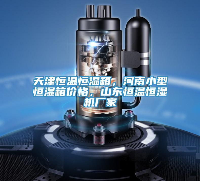 天津恒溫恒濕箱，河南小型恒濕箱價格，山東恒溫恒濕機廠家
