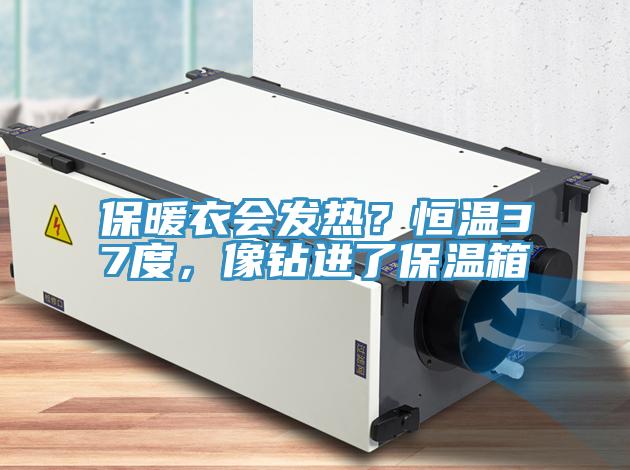 保暖衣會發熱？恒溫37度，像鑽進了保溫箱