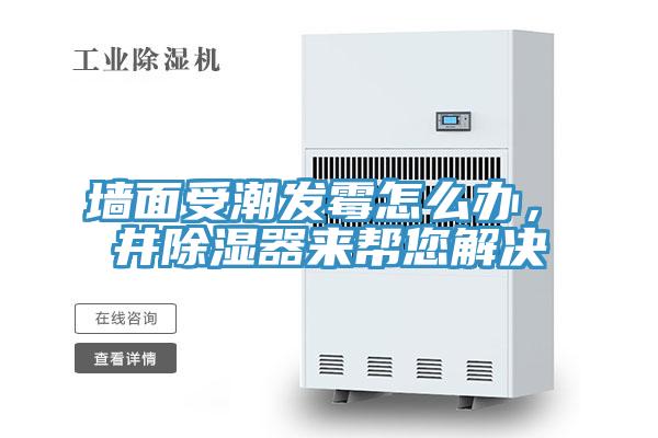 牆麵受潮發黴怎麽辦，東井除濕器來幫您解決